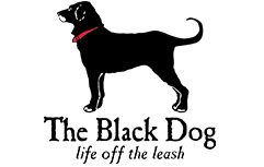 the black dog 